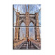 20507-Puente Nueva york