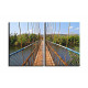 20516-Puente de hierro y madera
