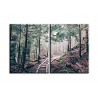 22017-Hacia el bosque
