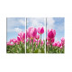 9522-Rosa tulipán bombilla
