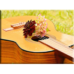 42011-Guitarra Instrumento Musical