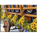 4019-Girasoles coche barril