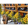 4019-Girasoles coche barril
