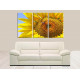 4024-girasol con abeja