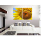 4024-girasol con abeja