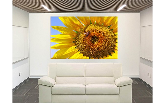 4024-girasol con abeja