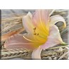 5024-flor lirio decoracion mesa