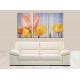 95077-Tulipán Flor Rosa