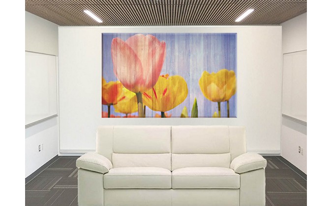 95077-Tulipán Flor Rosa