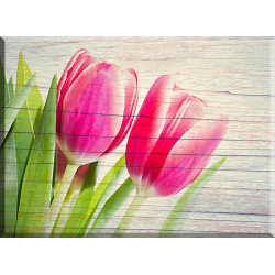 95166-Tulipanes Primavera