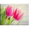 95166-Tulipanes Primavera