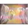 95177-Tulipanes Flores Rosadas