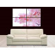 9608-Cerezos Japoneses Flores Primavera