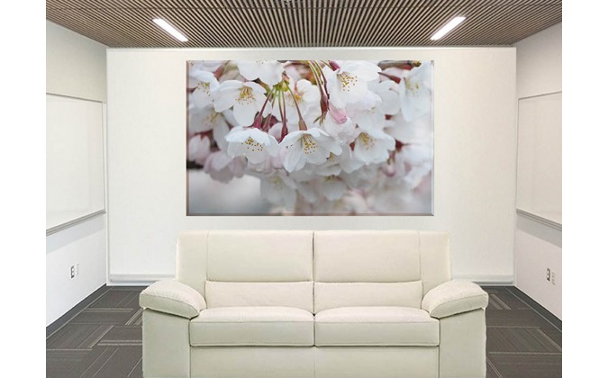 9610-Flores De Cerezo Japón Primavera