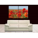 1019-Amapolas Campo en Flor