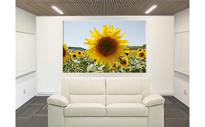 4032-Girasol Paisaje de Verano