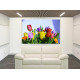 9530-tulipanes variados colores