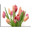 9533-Ramo de tulipanes decoracion