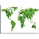24519- mapa de hojas verdes