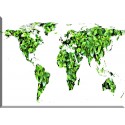 24519- mapa de hojas verdes