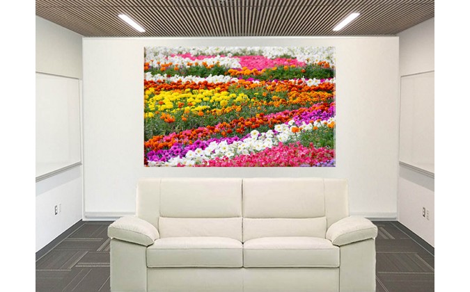 9535-prado colorido de tulipanes
