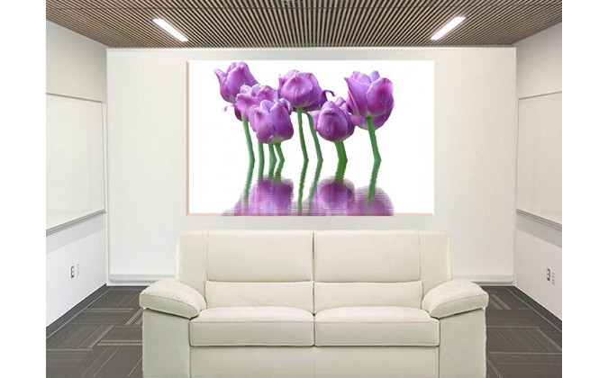 9539-Tulipanes decoracion violeta