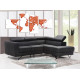 24527- mapa salmon