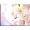 9614-Flor cerezo difuminada_