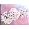 9615-cerezo flor de japon