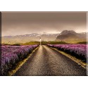 22521-Islandia Flores Paisaje Por Carretera Sunrise