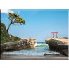 15526-Playa Torii Izu Península Shizuoka