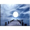 20538-Buenas Noches Luna Llena Moonlight