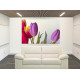 9549-colorido en tulipanes