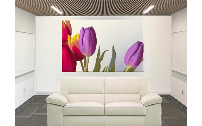 9549-colorido en tulipanes