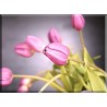 9550-tulipanes difuminados