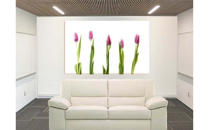9551-tulipanes en pie