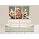 -Orquídea De Plantas Ornamentalen Flor