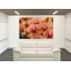orquidea decoración