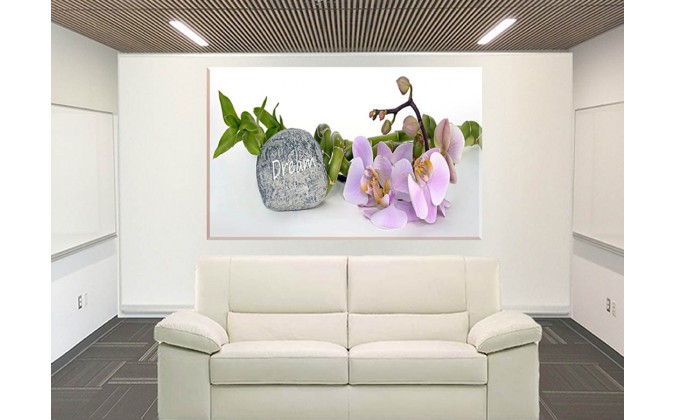 orquideas decoracion-moderna