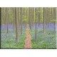 Bosque flores violeta_22016