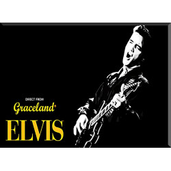Elvis Presley Músico Celebridades-72026