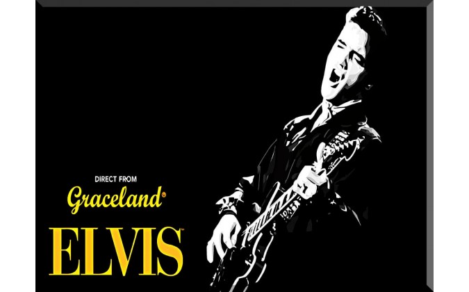 Elvis Presley Músico Celebridades-72026