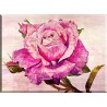 9012-Rosa acuarela